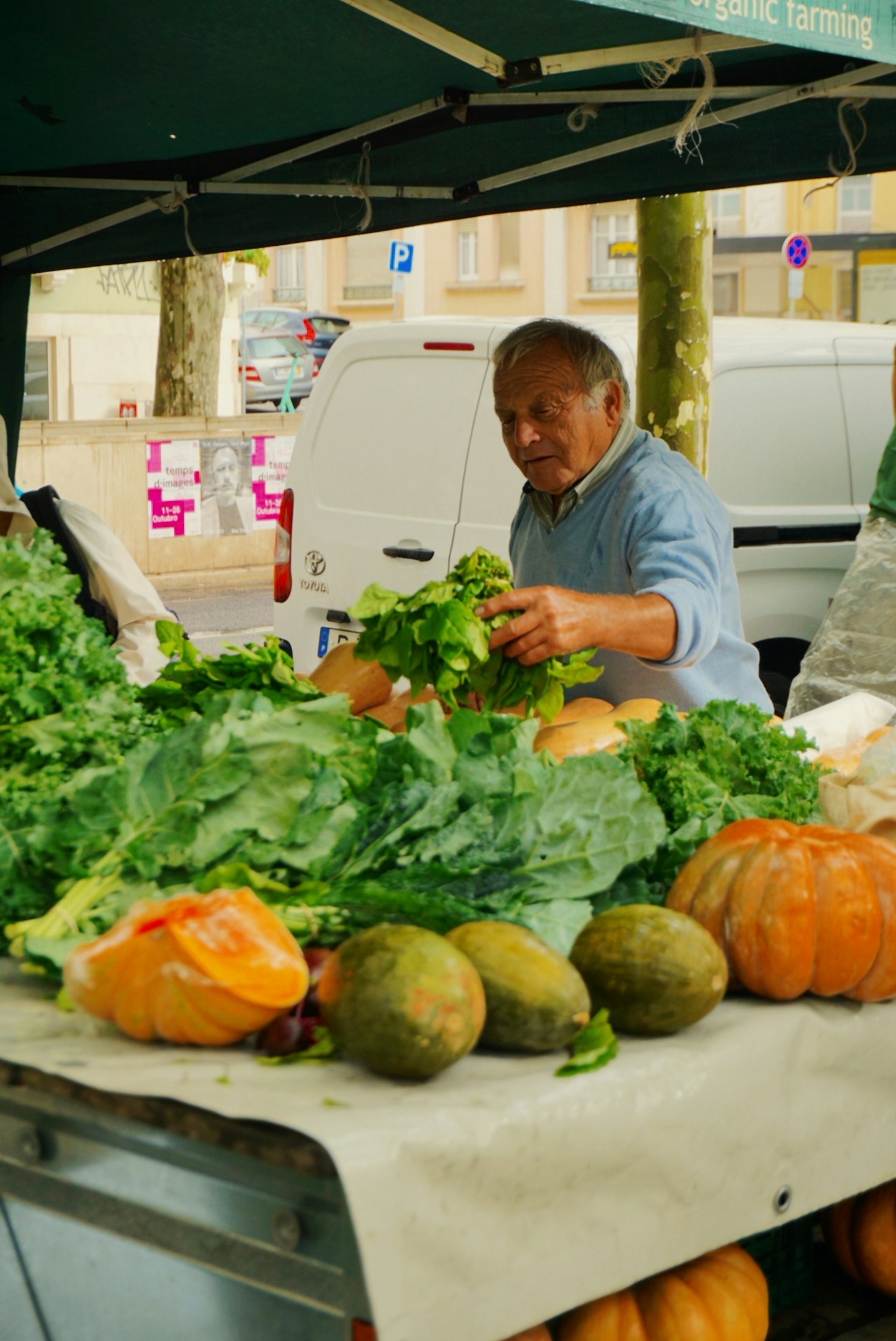 From Seed to Market: Maximizing Agribusiness Value