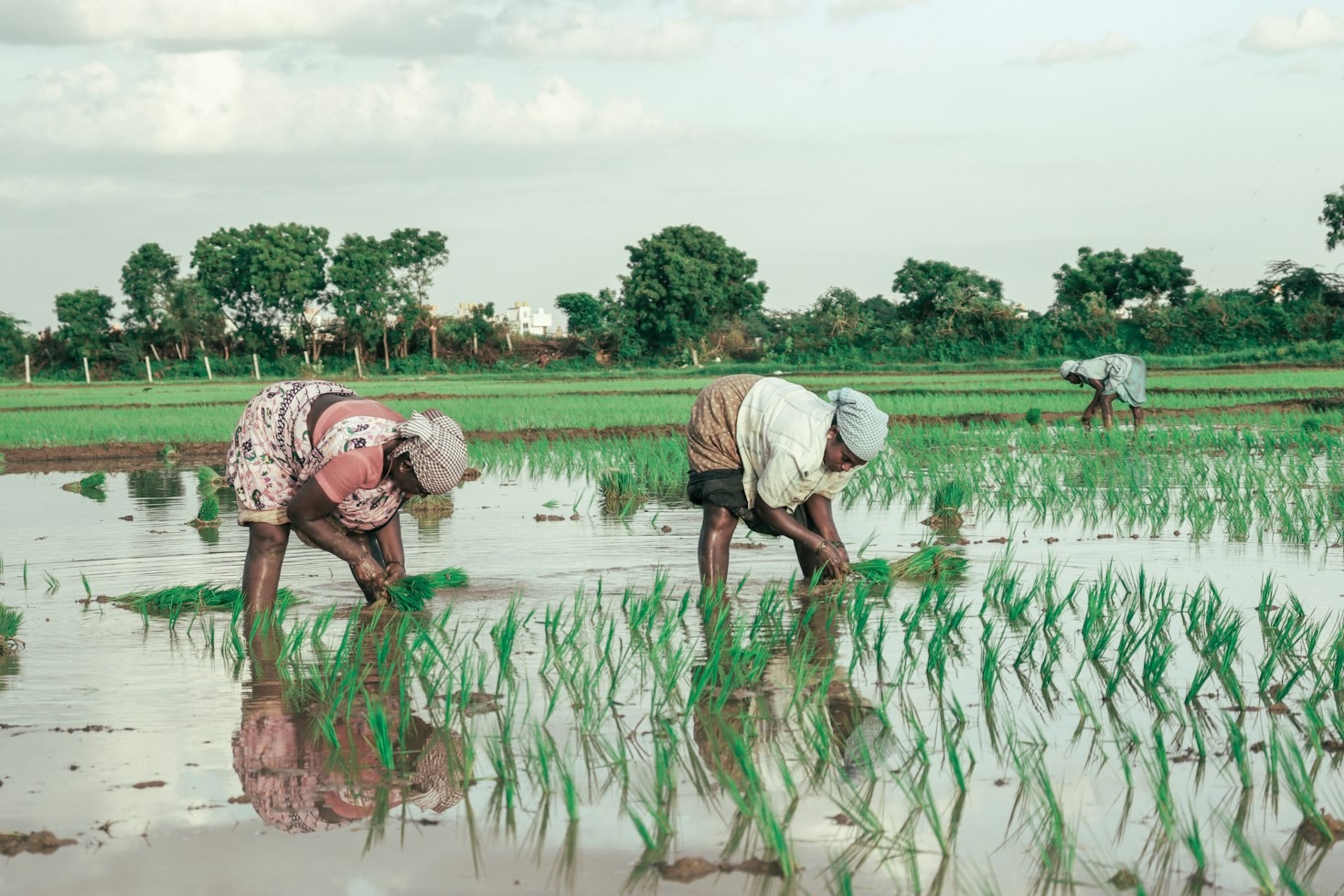 Empowering Rural Communities Through Education and Technology